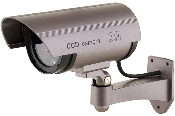 Decoy Outdoor Camera with LED Lights