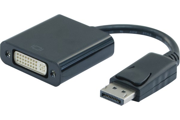 DisplayPort to DVI Converter- 20 cm