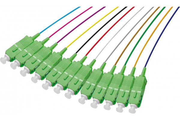 Pigtail OS2 sc/apc lszh 12 connectors- 2 m