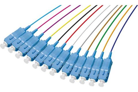 Pigtail OS2 sc/upc lszh 12 connectors- 2 m