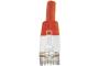 DEXLAN Cat6A RJ45 Patch cable S/FTP red - 0,5 m